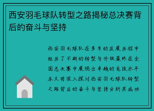 西安羽毛球队转型之路揭秘总决赛背后的奋斗与坚持