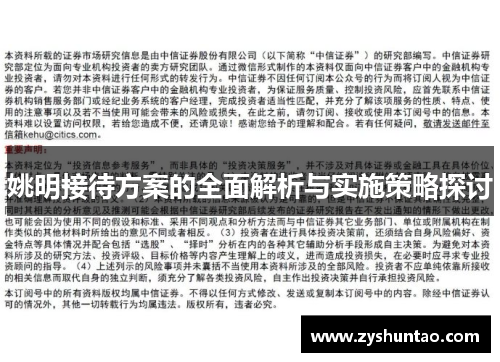 姚明接待方案的全面解析与实施策略探讨